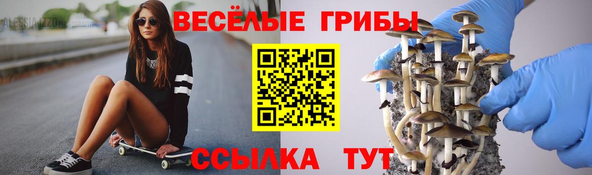Отрадный  Псилоцибиновые грибы Magic Shrooms  Вход с VPN 